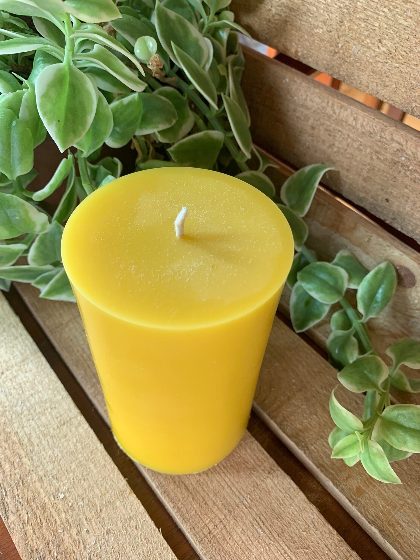 Pillar Beeswax Candle- 3” wide x 5” tall