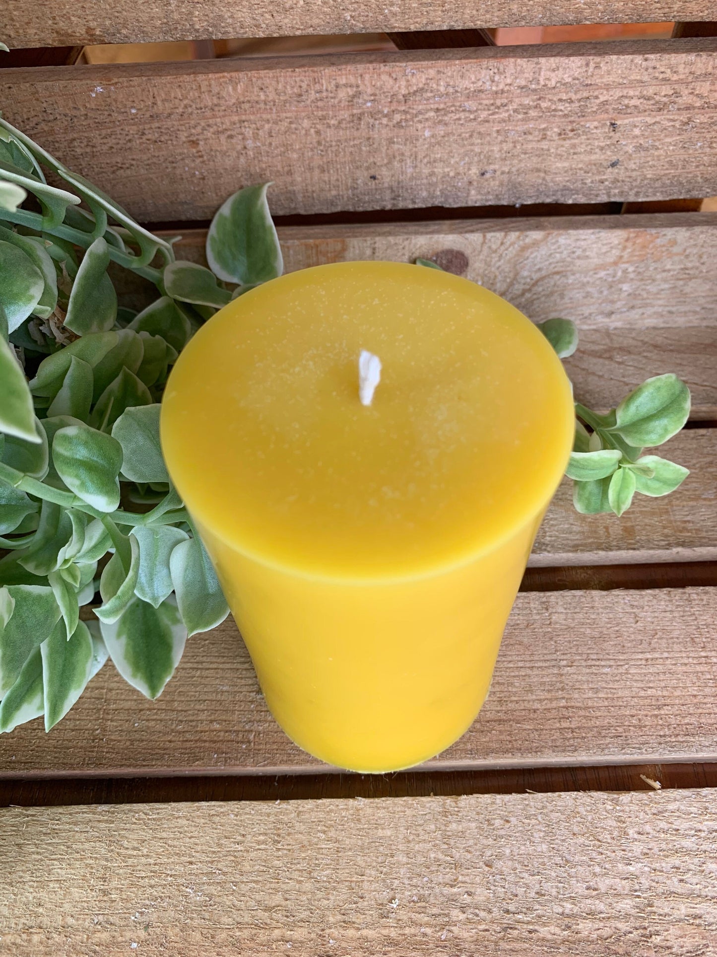 Pillar Beeswax Candle- 3” wide x 5” tall