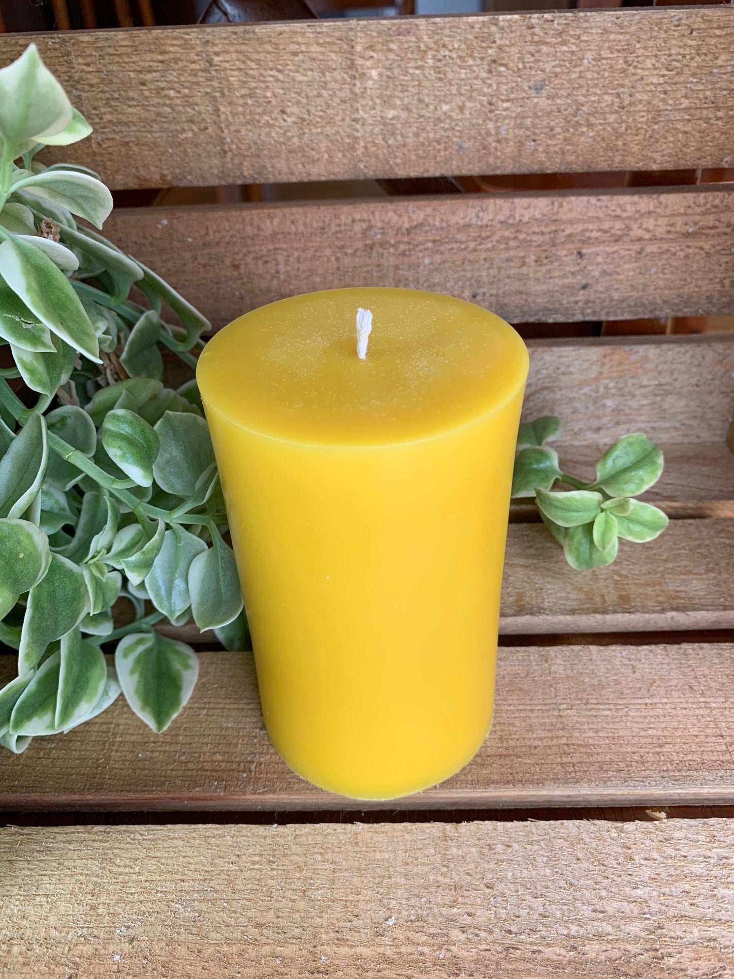 Pillar Beeswax Candle- 3” wide x 5” tall