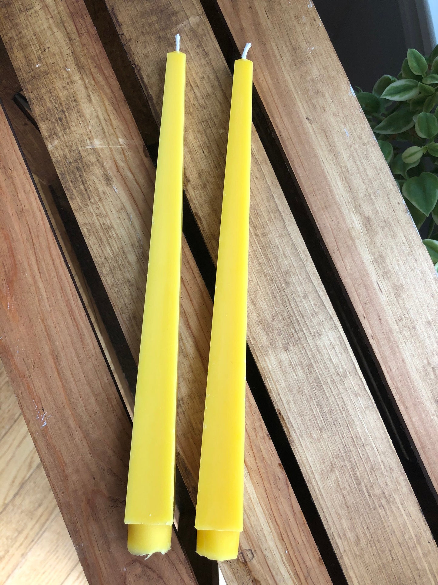 Obelisk Beeswax Taper Candle- Set of 2- 10.5” long