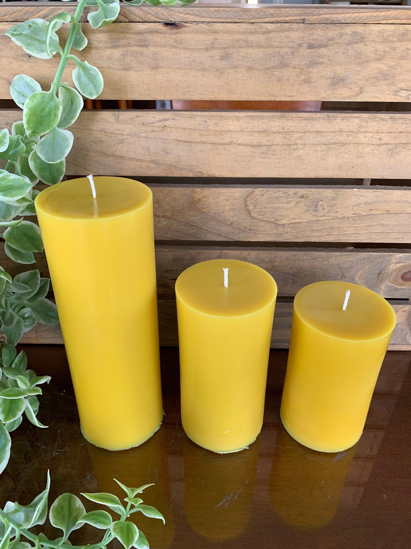 Set of 3 Pillar Beeswax Candles - Pillar Candles