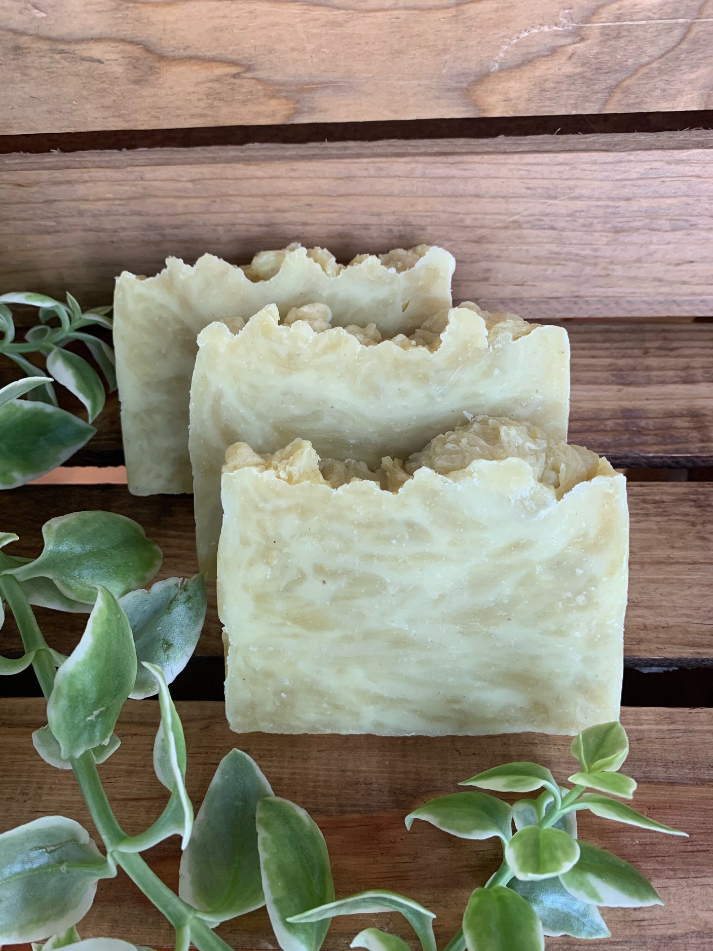 Bay Rum Soap- made with beeswax and honey - Palm Free Soap