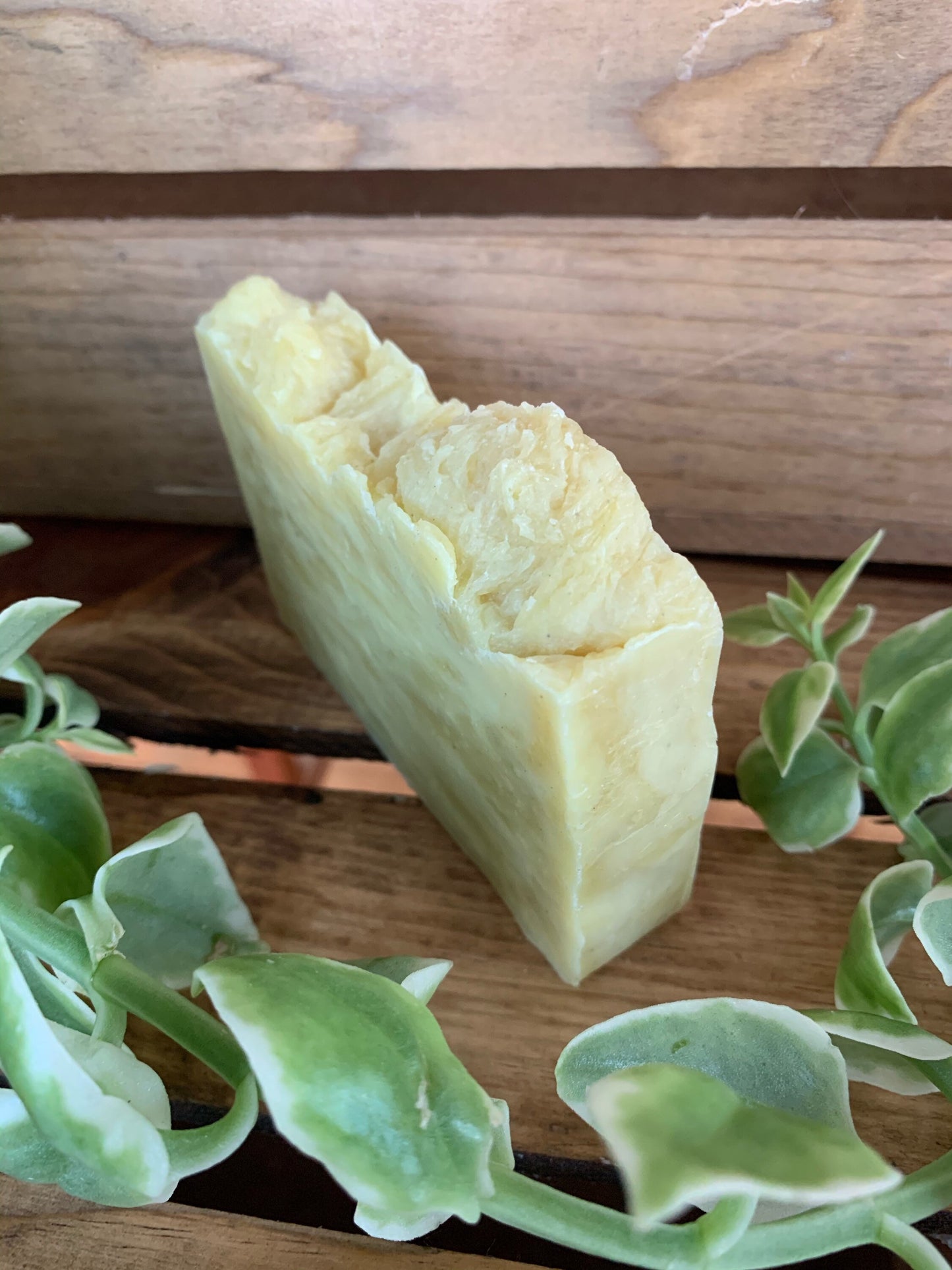 Bay Rum Soap- made with beeswax and honey - Palm Free Soap