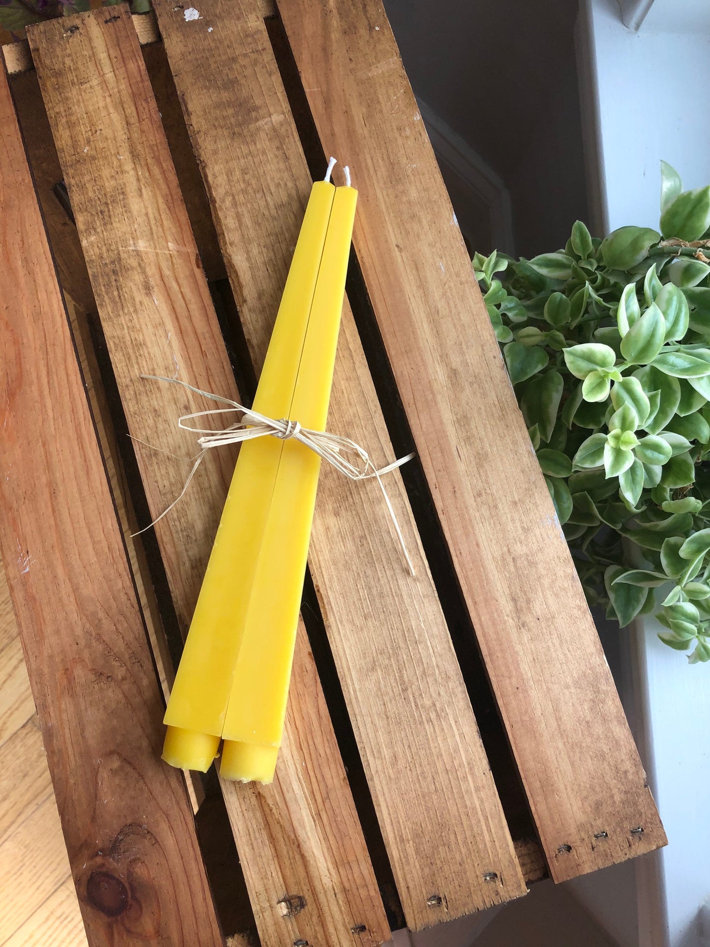 Obelisk Beeswax Taper Candle- Set of 2- 10.5” long