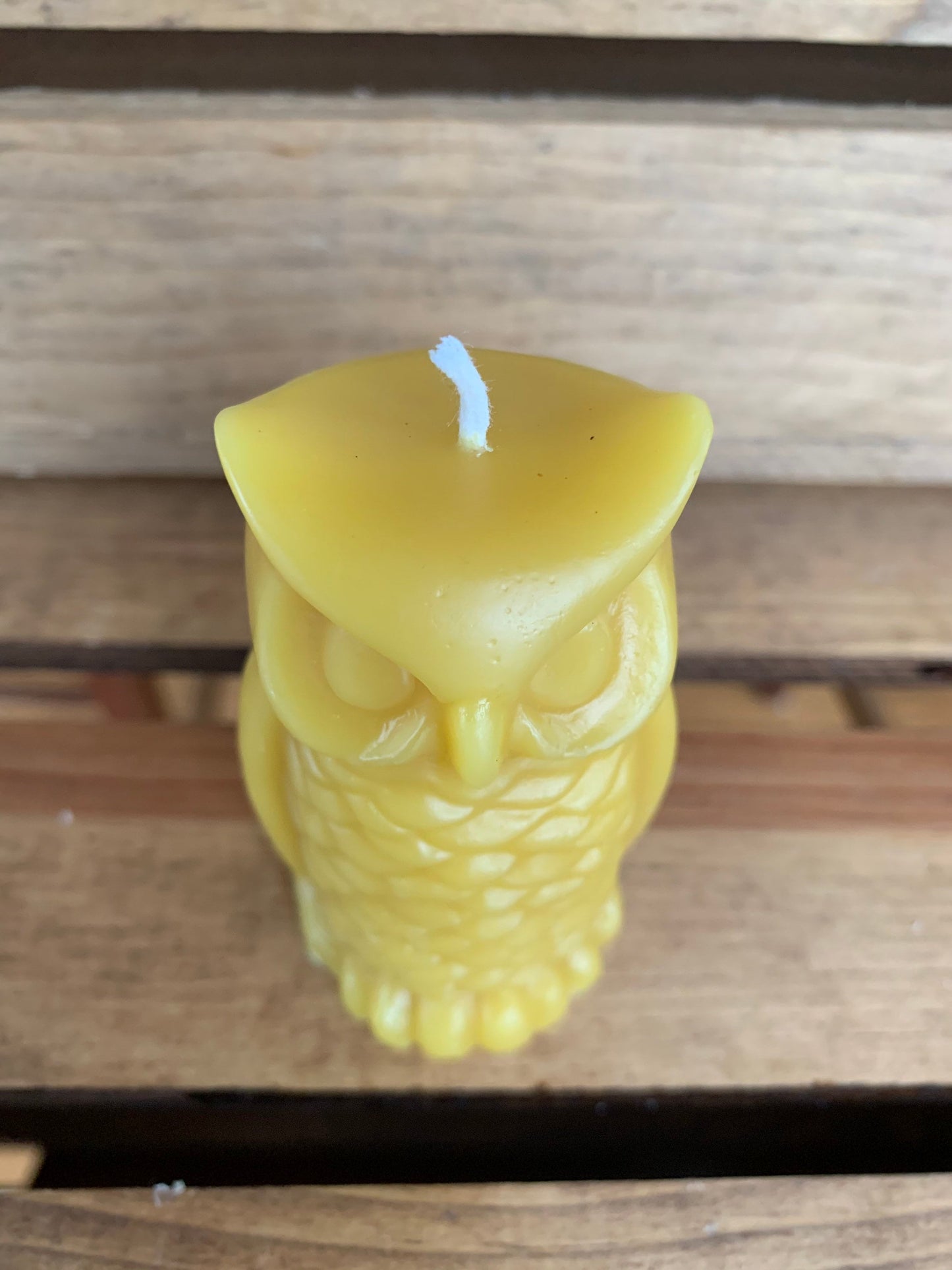 Owl Candle- Beeswax Candle- Beeswax Owl Candle