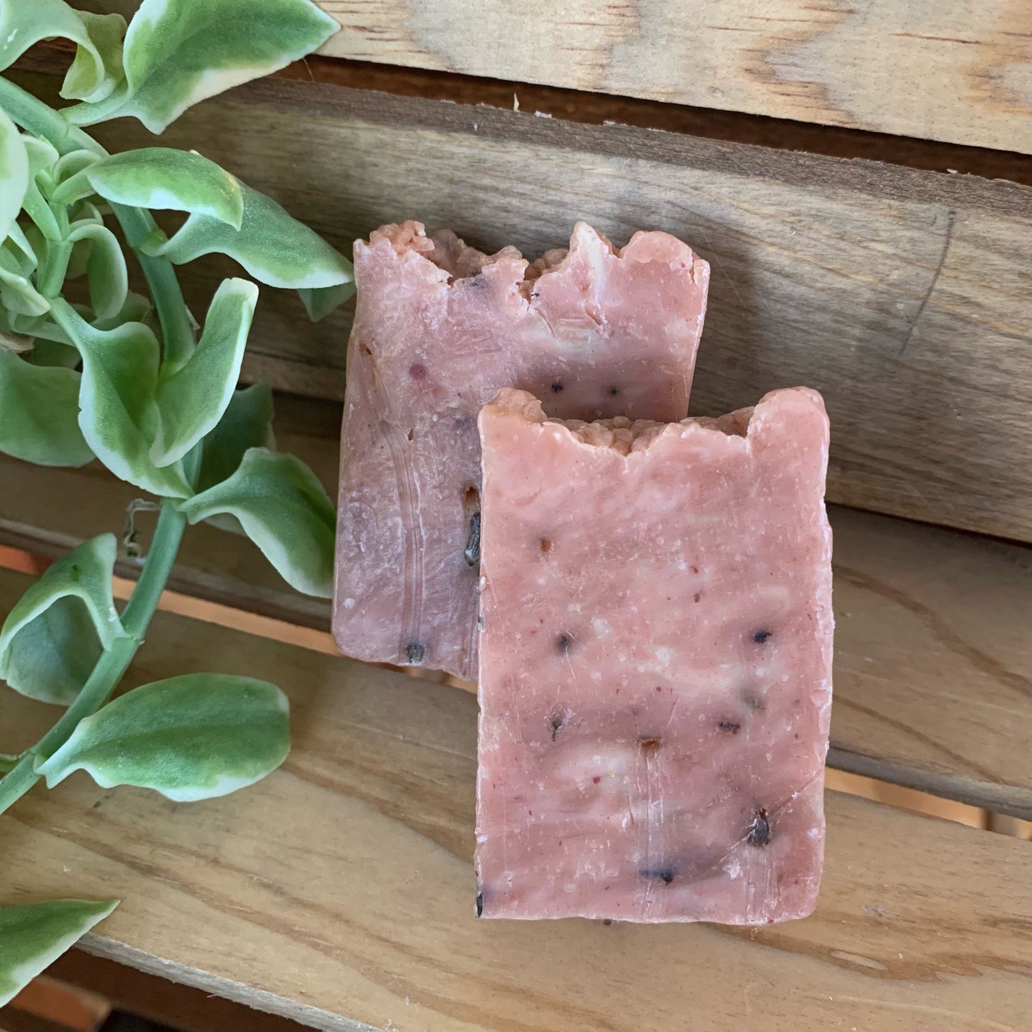 Sample Size Soap- 40 or 100 small bars of soap great for party favors