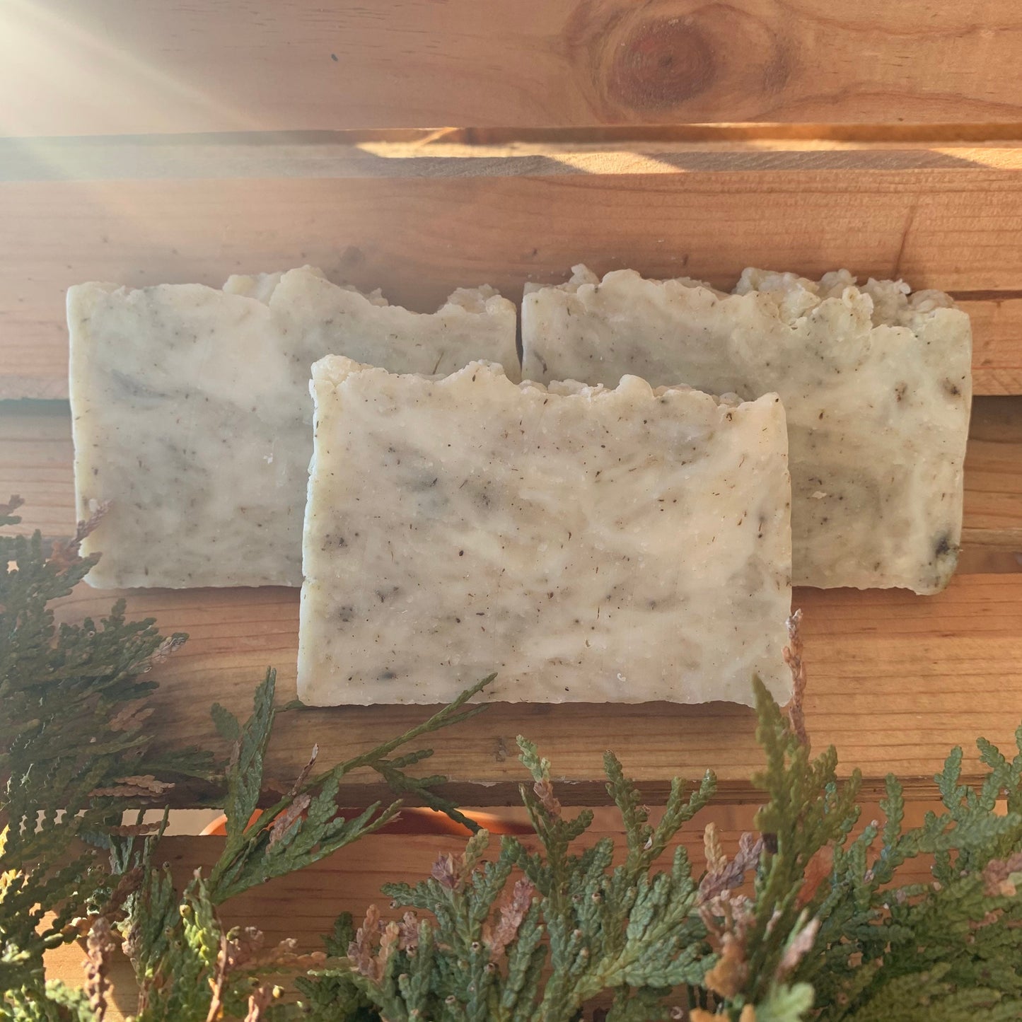 Pine & Cedar Soap- made with beeswax and honey - Palm Free Soap