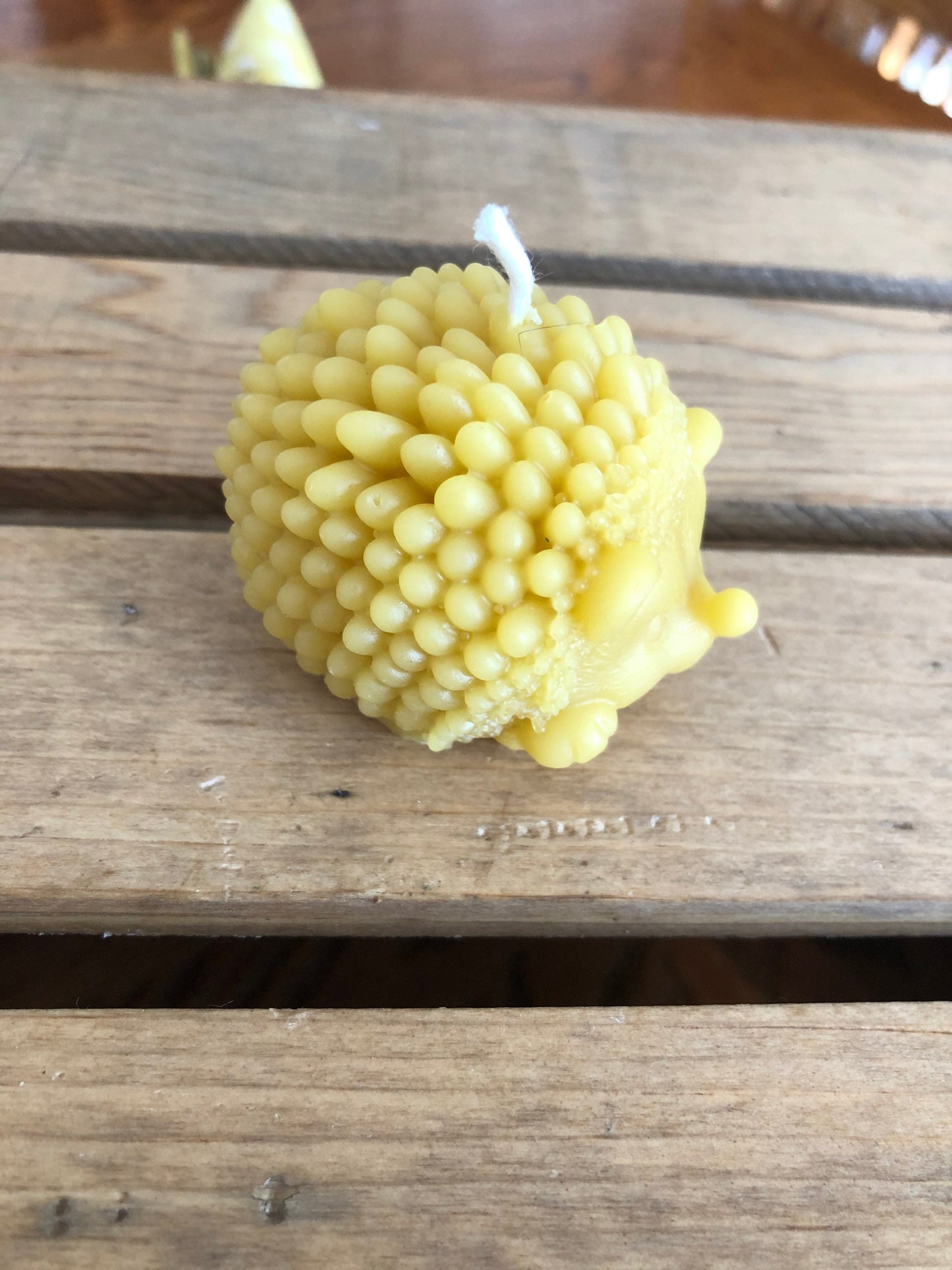 Hedgehog Beeswax Candle