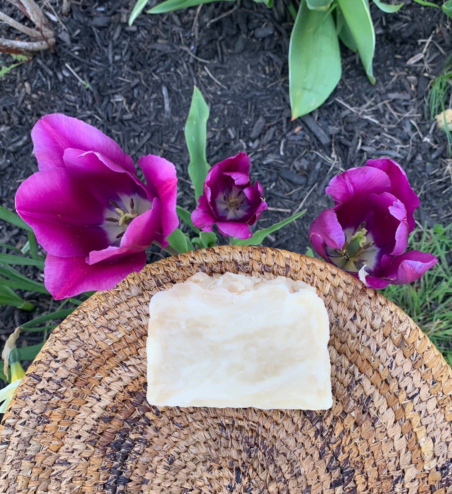 Coconut Vanilla Bar Soap- natural made with beeswax and honey- Coconut Vanilla Soap - Palm Free Soap