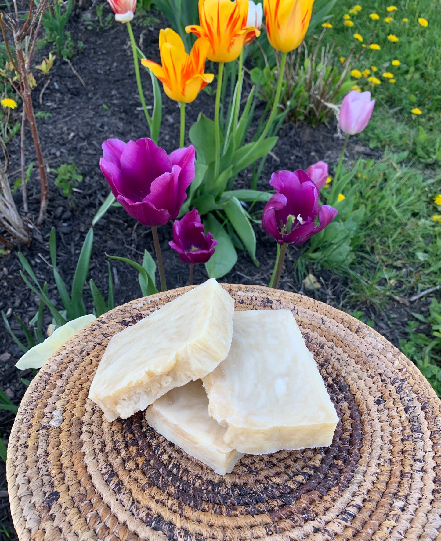 Coconut Vanilla Bar Soap- natural made with beeswax and honey- Coconut Vanilla Soap - Palm Free Soap