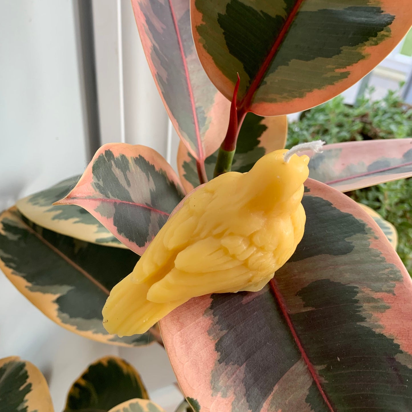 Bird Beeswax Candle