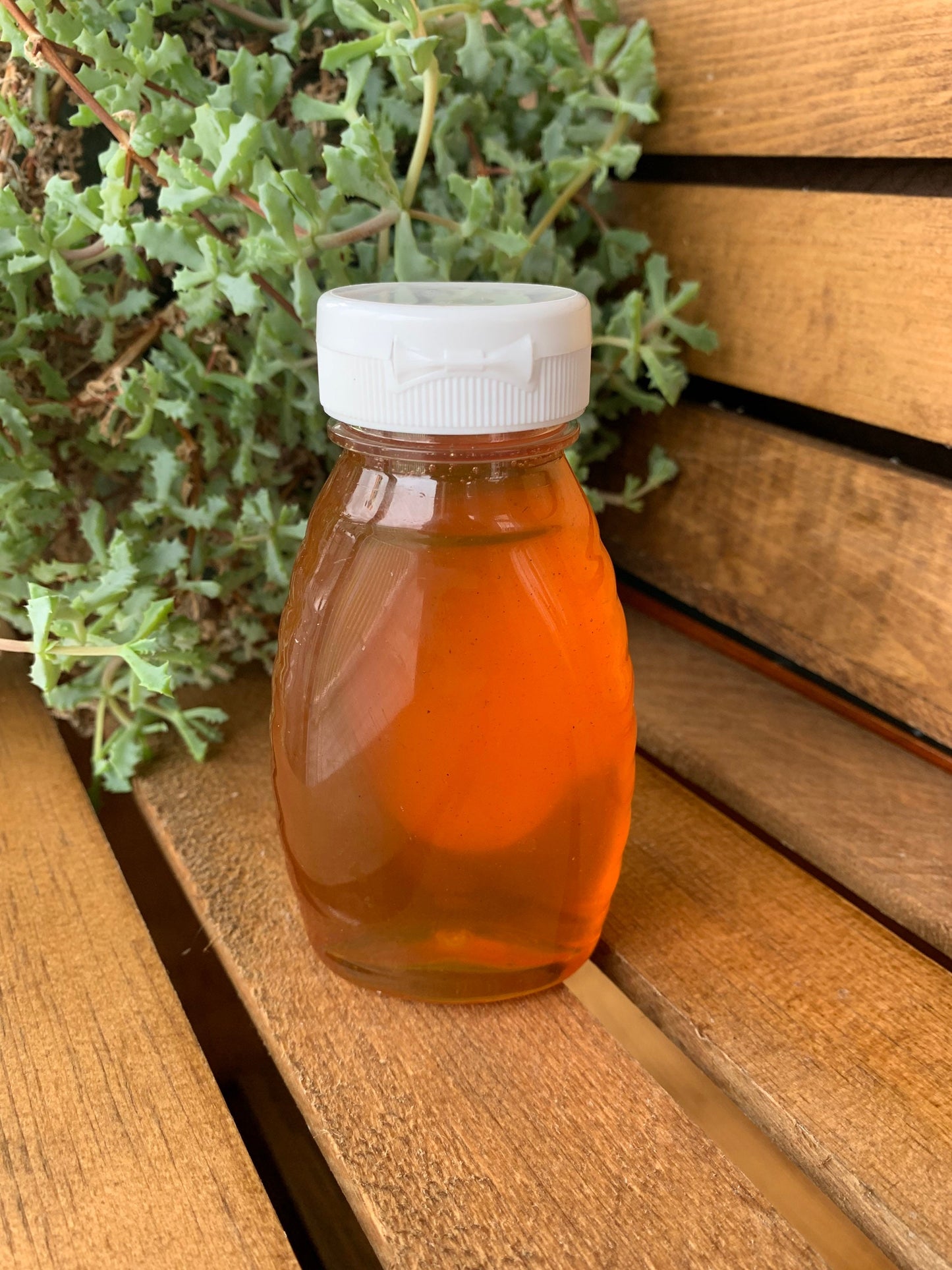 Honey- 8oz Honey- Raw Honey- Wildflower Honey Pure Honey- New York Honey- BPA Free Bottle