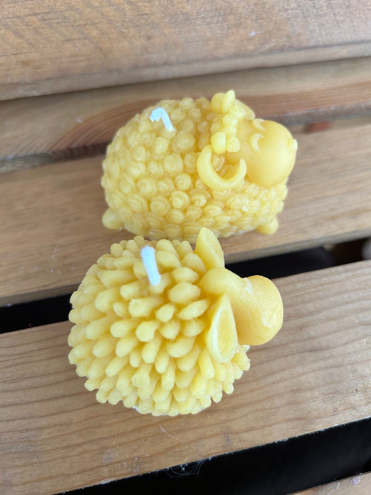 Beeswax Sheep Candles | Sheep Candle | Ram Candle