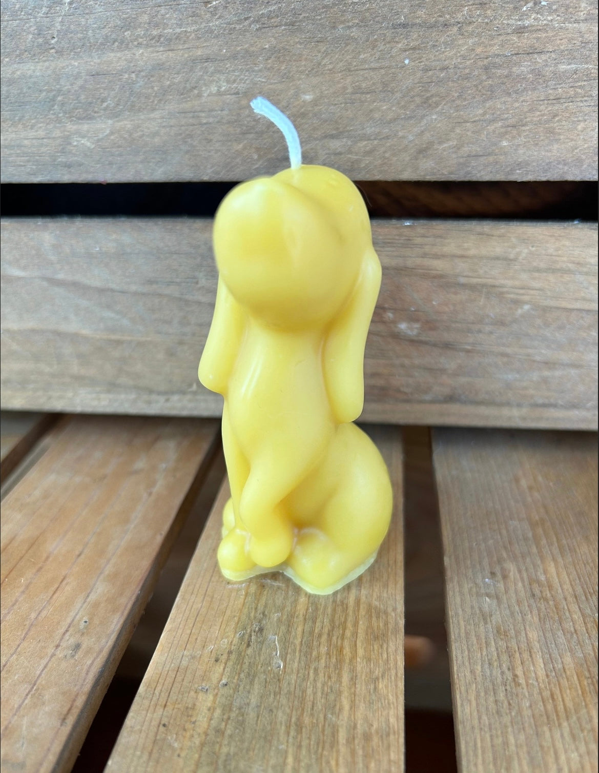 Dog Beeswax Candle - Natural Beeswax Candle