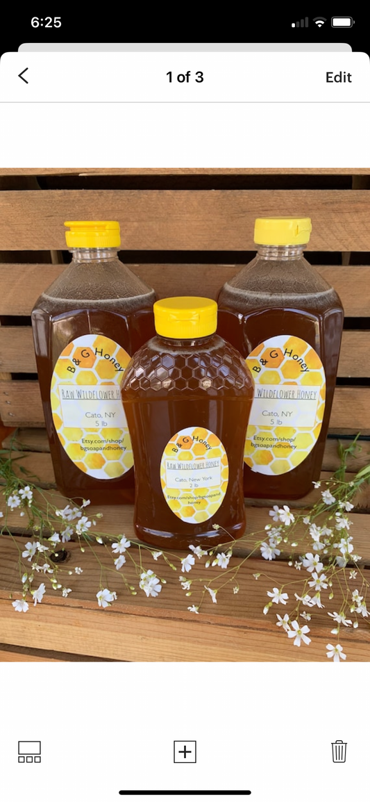 Honey - 1 Gallon - Raw Wildflower Honey- Unfiltered Honey - New York Honey - Pure Raw Honey - 12lb Honey