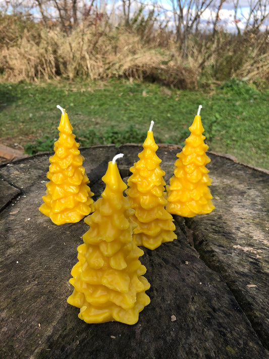 Pine Tree Beeswax Candle- Christmas Tree Beeswax Candle- Fir Tree Beeswax Candle