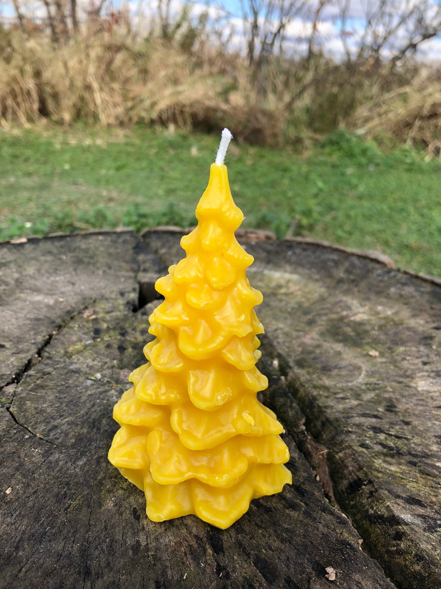 Pine Tree Beeswax Candle- Christmas Tree Beeswax Candle- Fir Tree Beeswax Candle