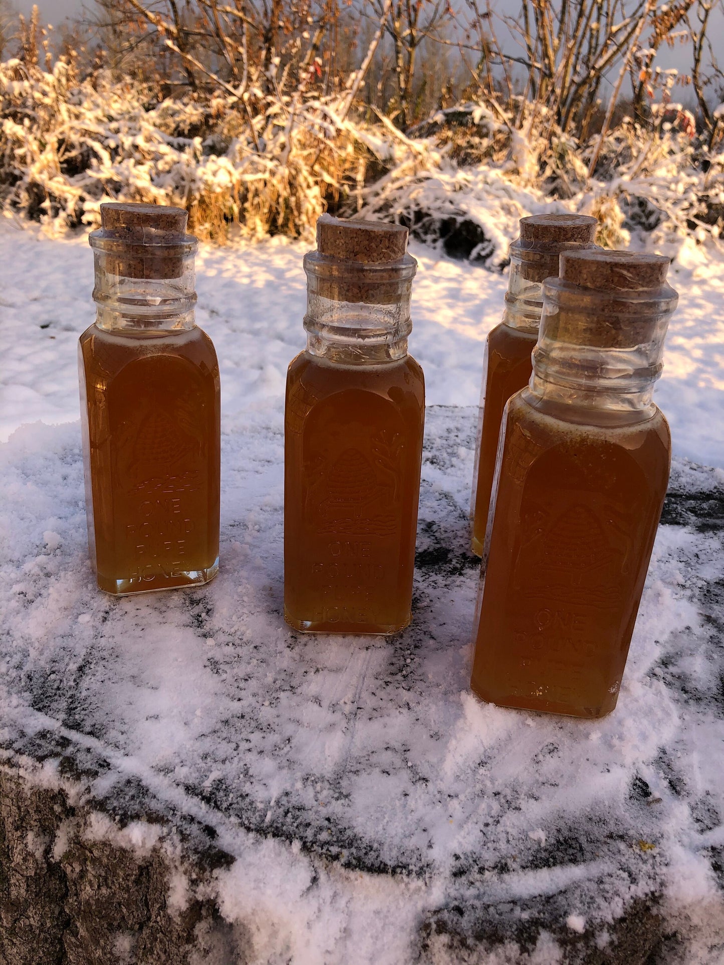 Muth Glass Honey Bottle 1lb- 1lb Honey- 16oz Honey- Vintage looking Muth Honey Bottle- Raw Honey- Raw Wildflower Honey- New York Honey