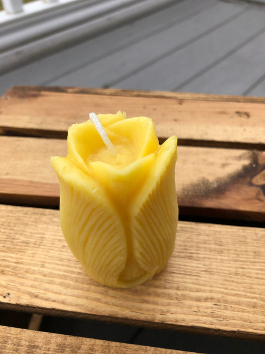 Beeswax Candle- Tulip Beeswax Candle