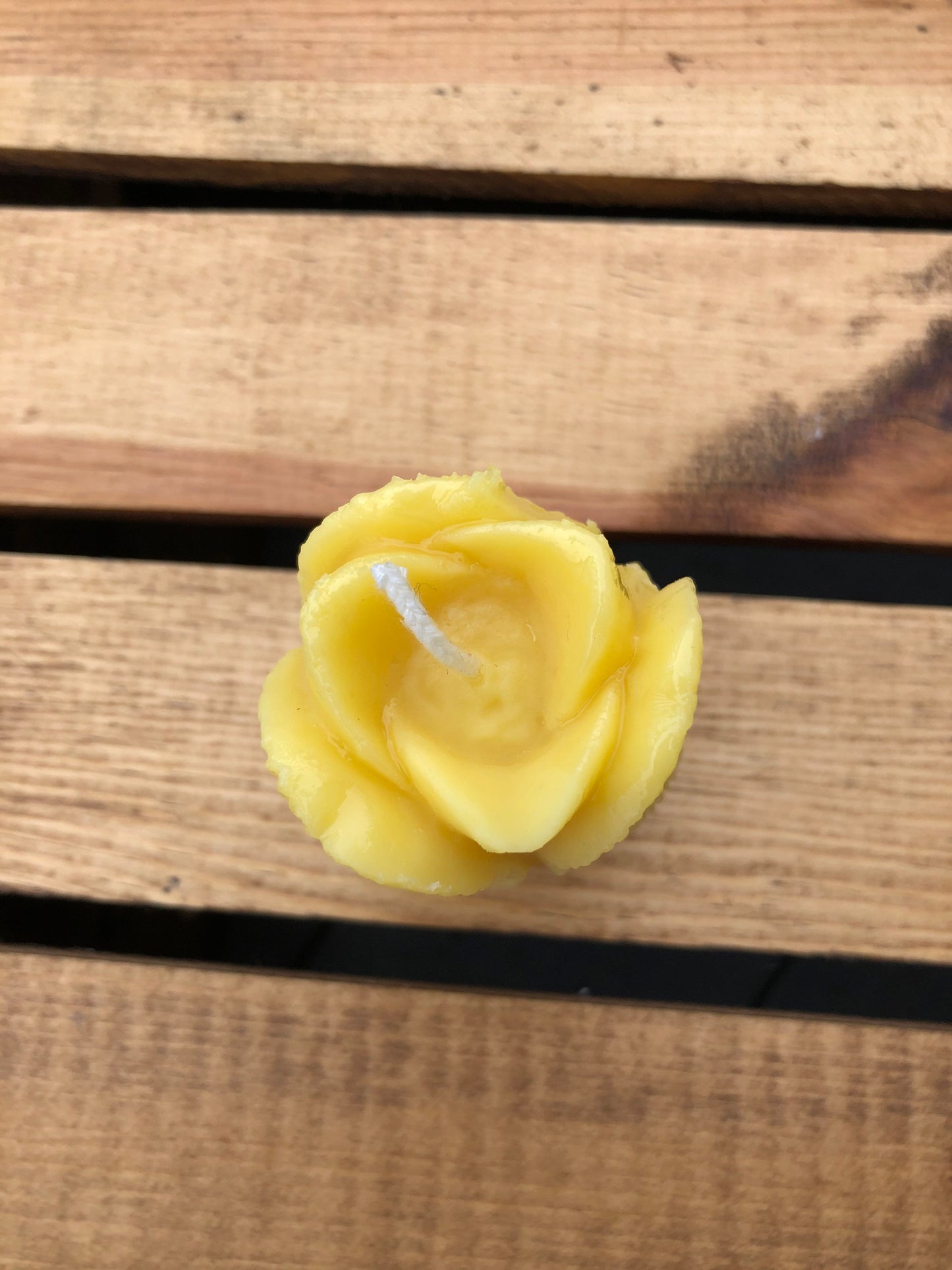 Beeswax Candle- Tulip Beeswax Candle