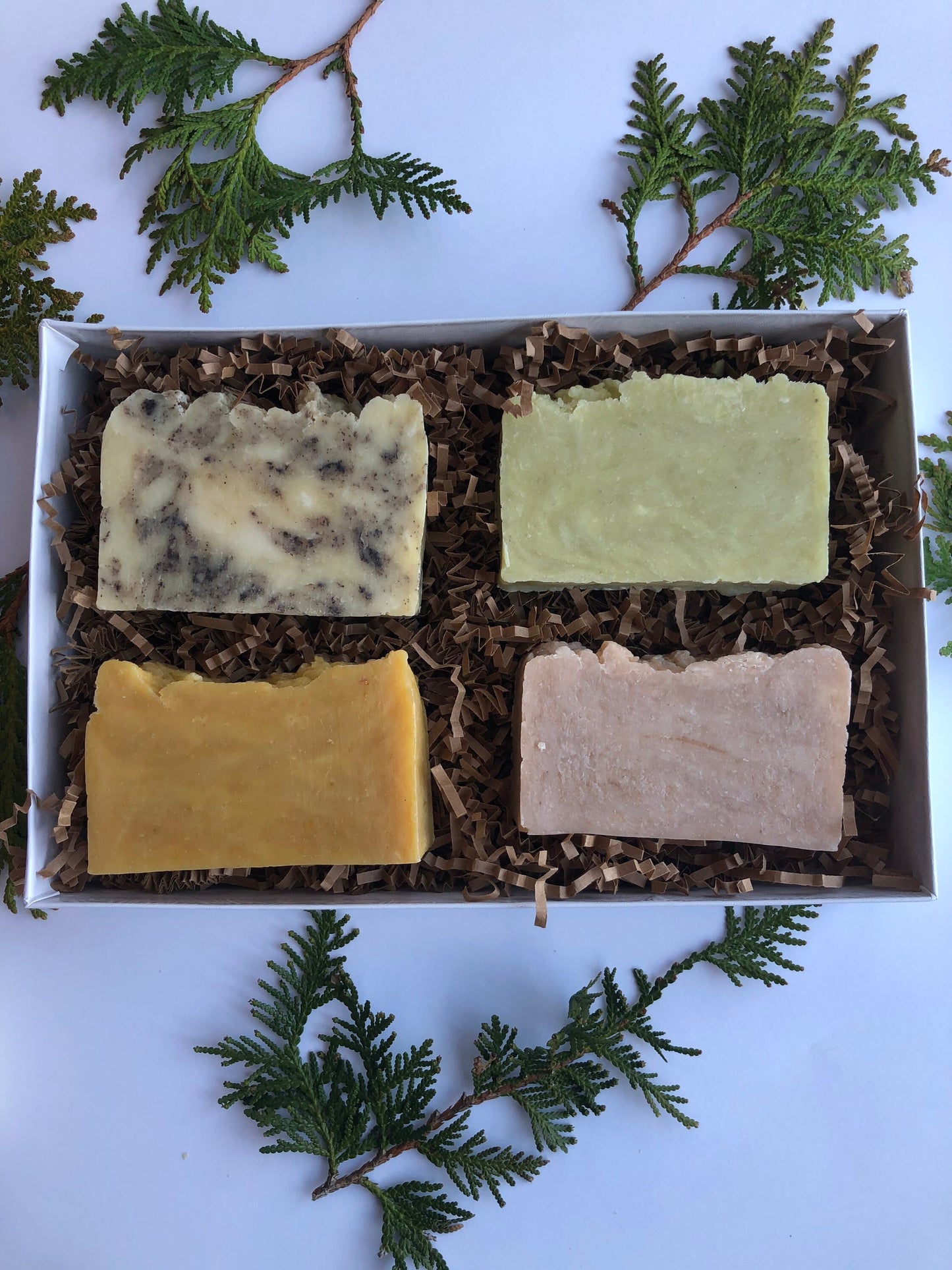 Woodsy Soaps- Soap Sampler- Gift Package- Woodsy Collection- Soap Package