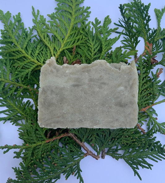 Evergreen Pine Soap- Bar-Evergreen Pine Soap- Pine Needle Soap- Fir Needle Soap- Soap- Made wIth Honey and Beeswax - Palm Free Soap