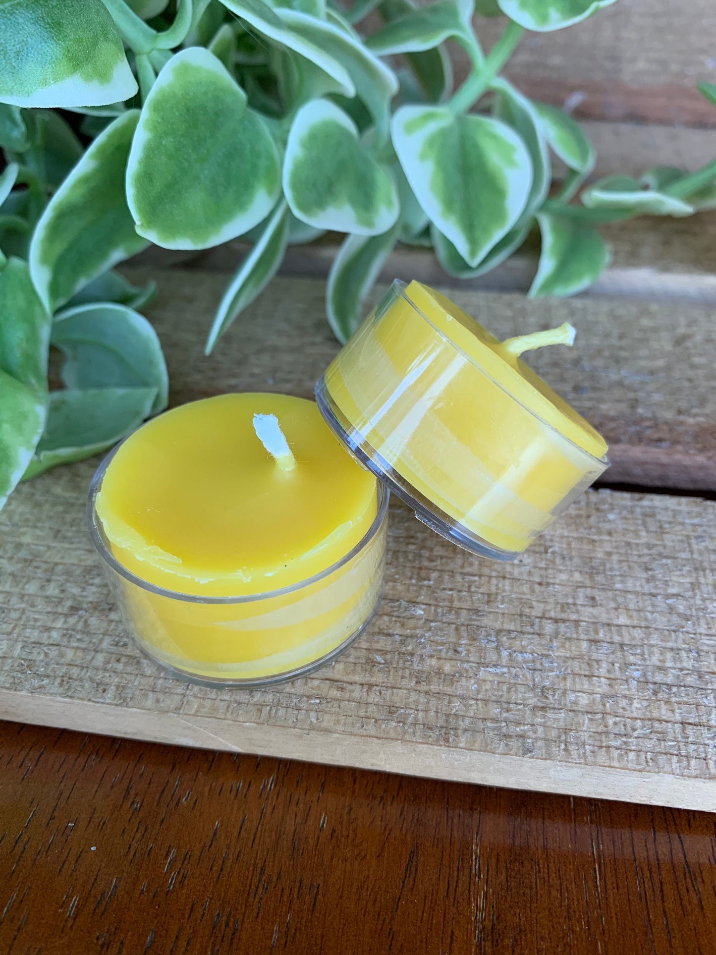 Tea light Candles- Set of 6- Pure Beeswax Candles