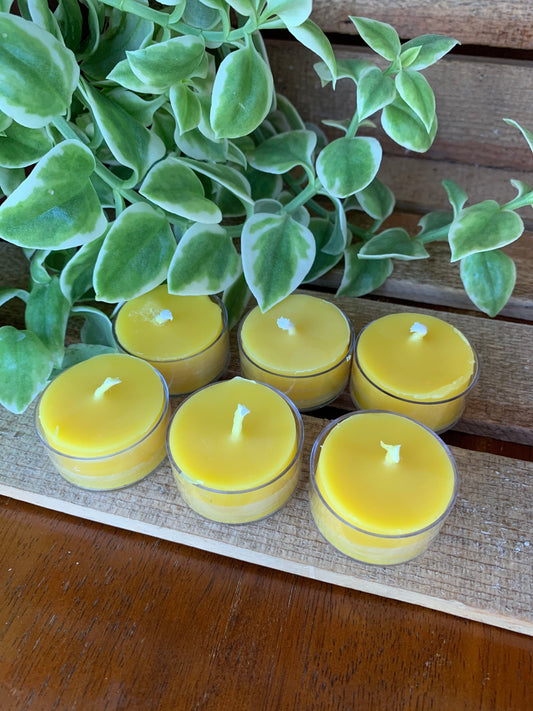 Tea light Candles- Set of 6- Pure Beeswax Candles