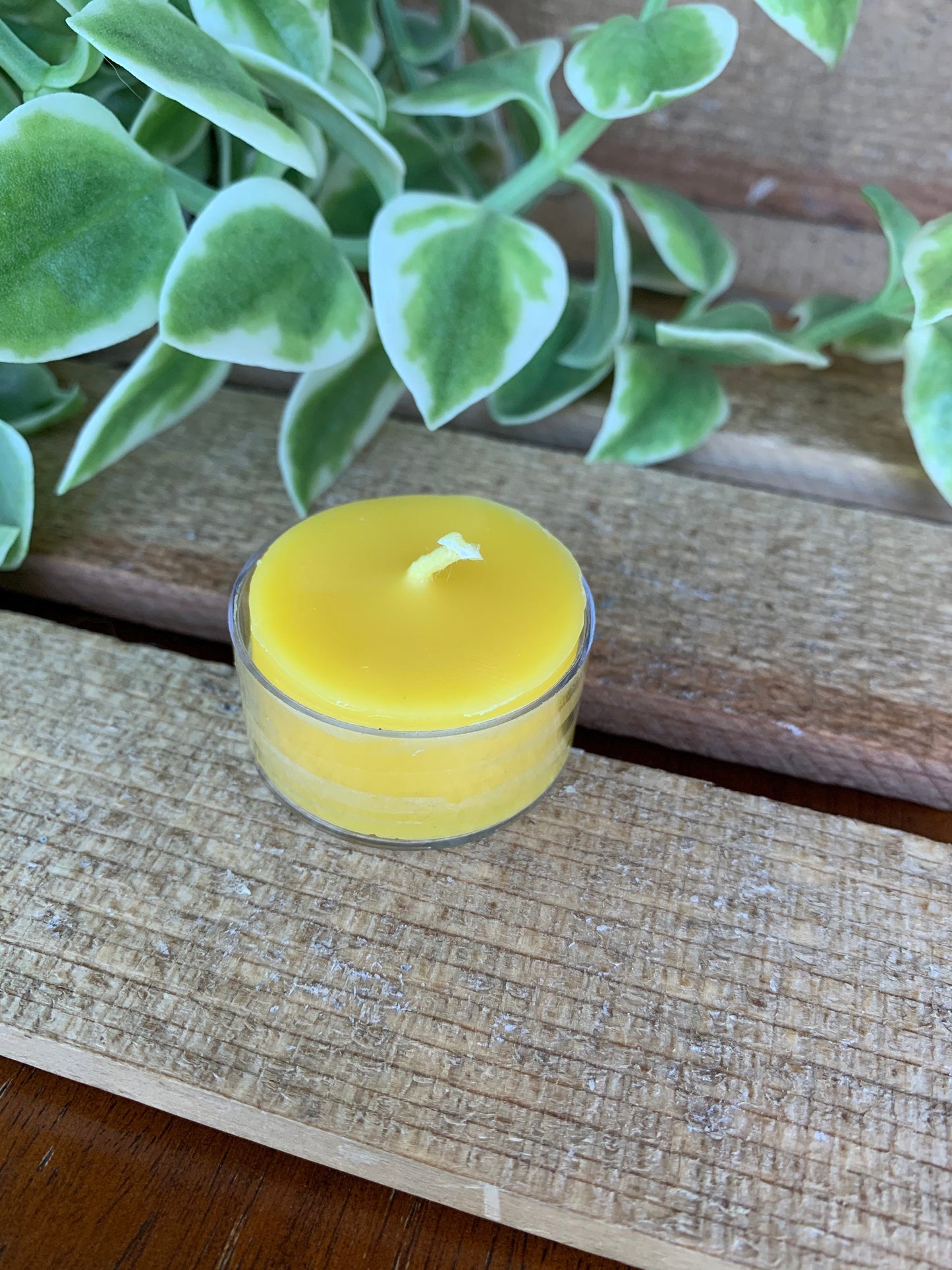 Tea light Candles- Set of 6- Pure Beeswax Candles