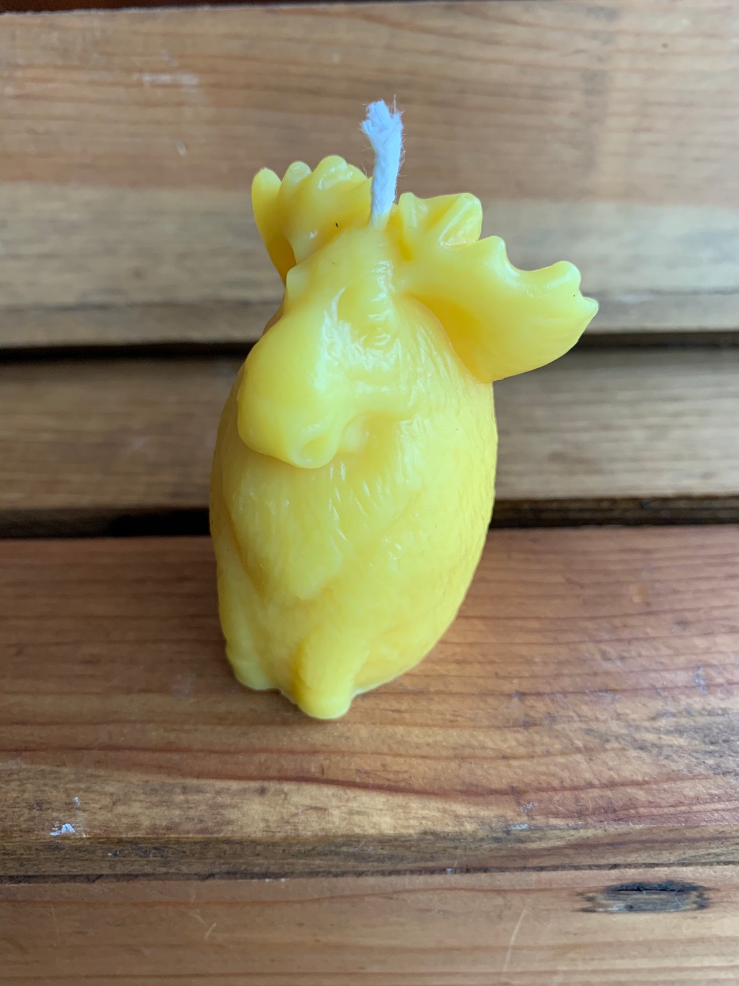 Moose Beeswax Candle