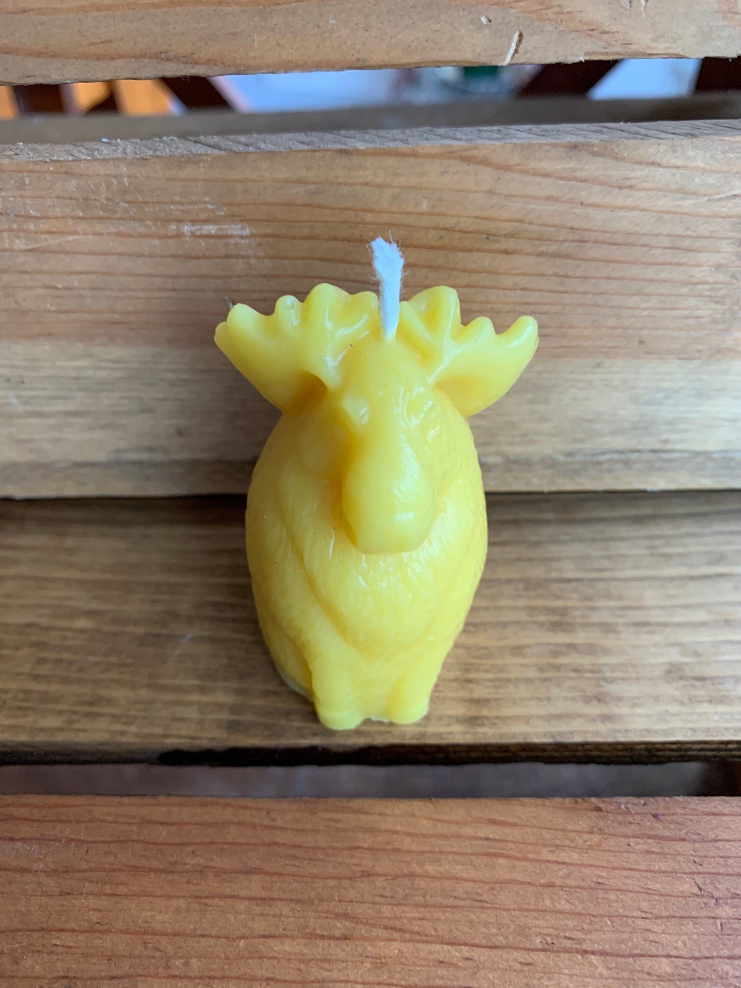 Moose Beeswax Candle