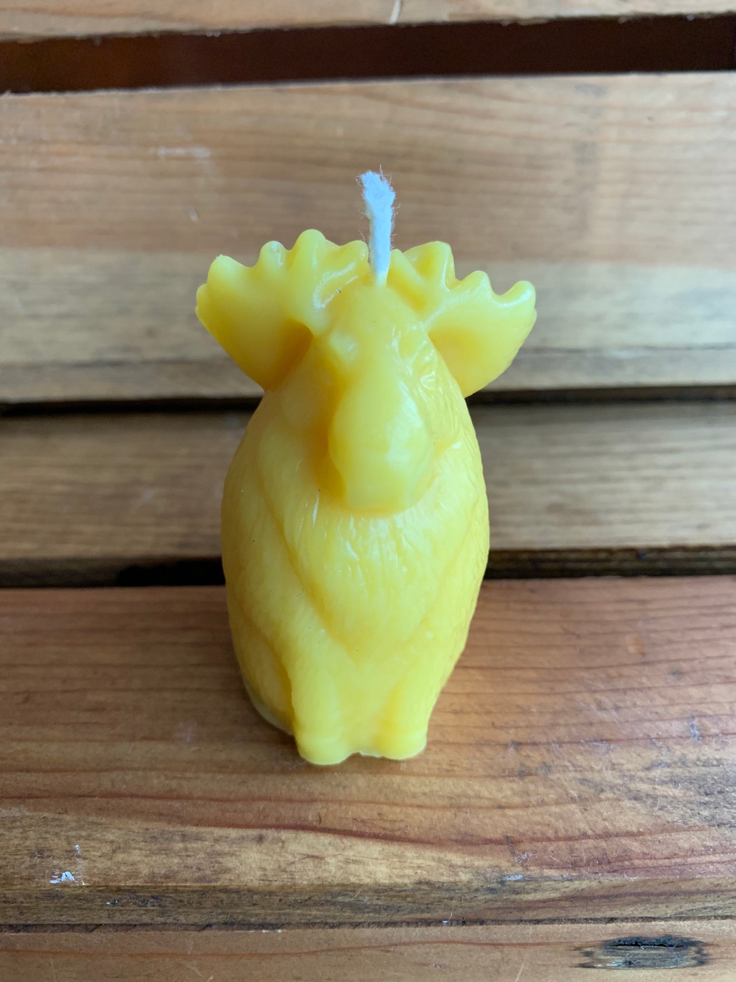 Moose Beeswax Candle