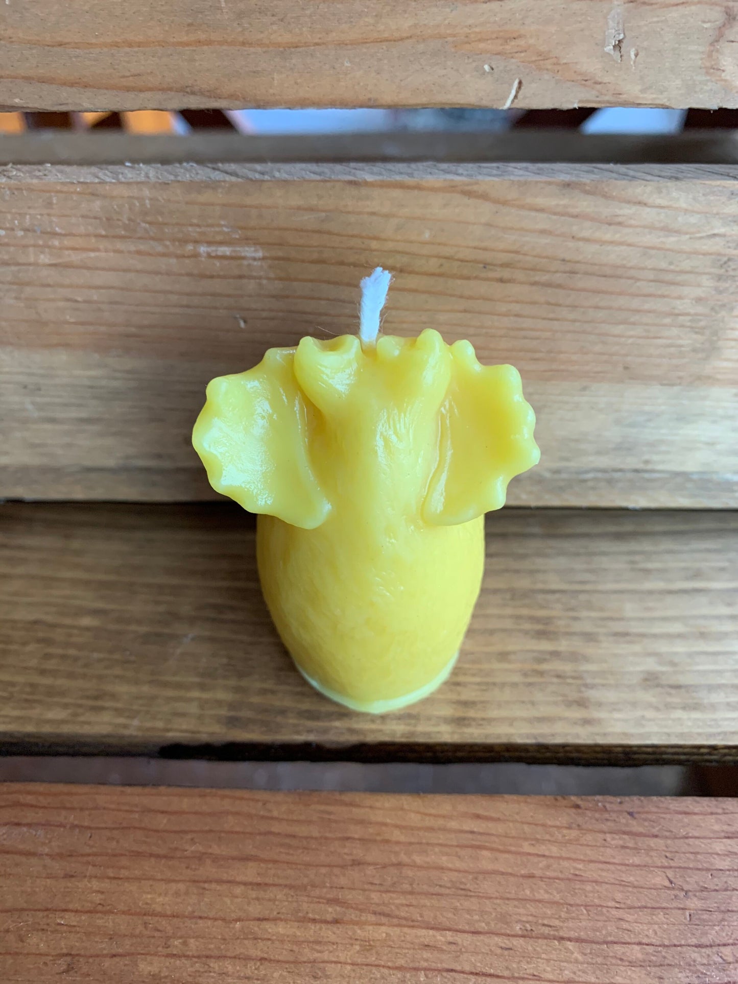 Moose Beeswax Candle