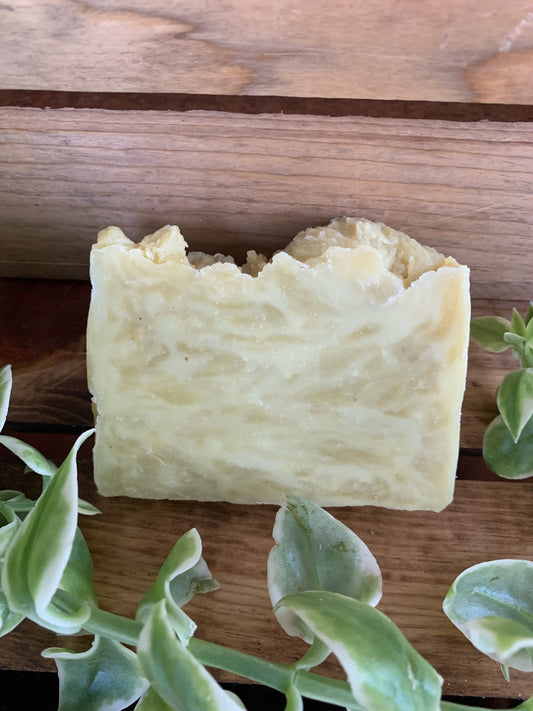 Bay Rum Soap- made with beeswax and honey - Palm Free Soap