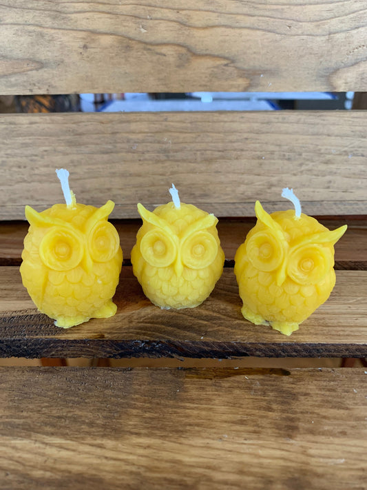 Owl Beeswax Candles- Set of 3