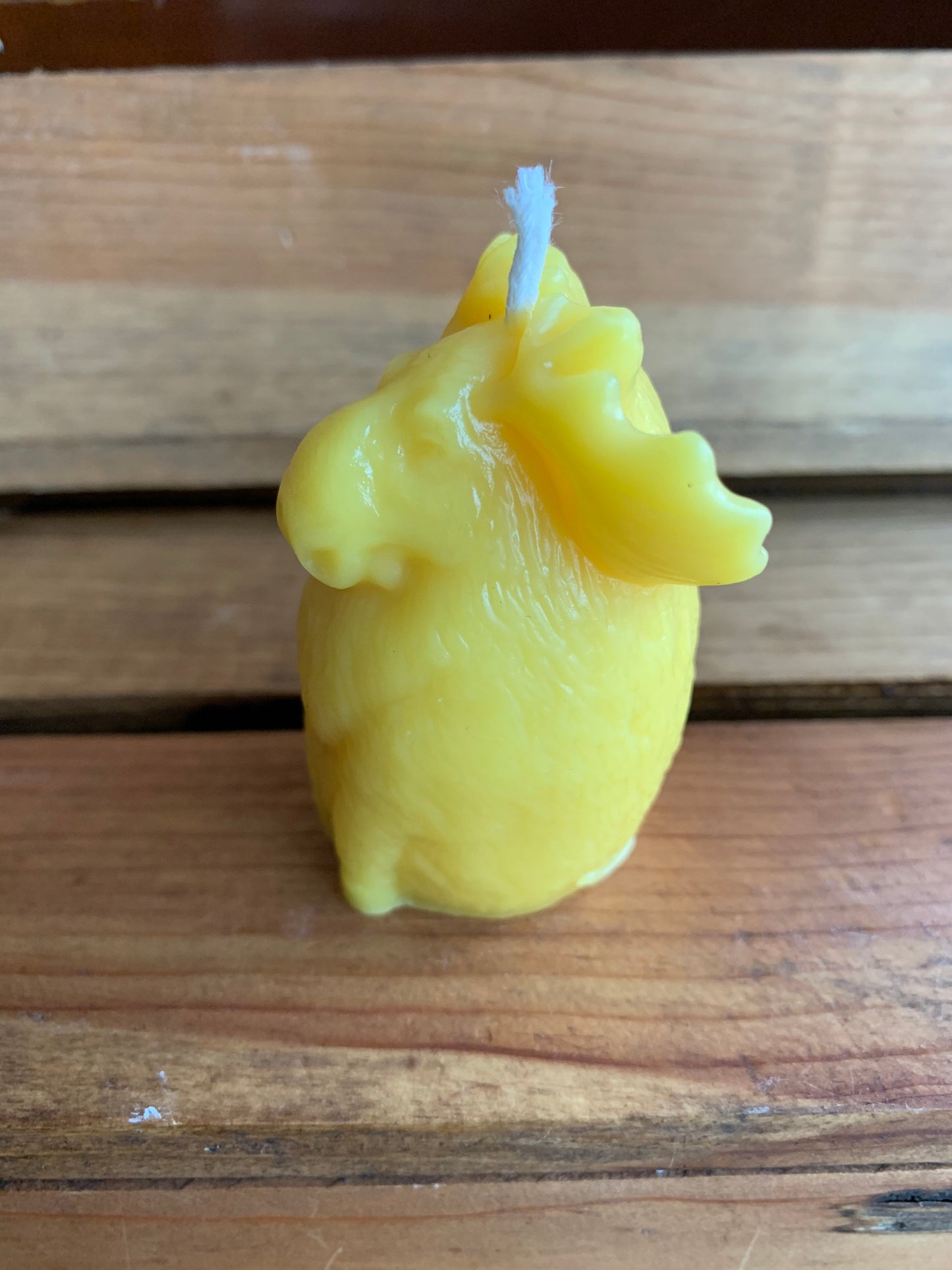 Moose Beeswax Candle