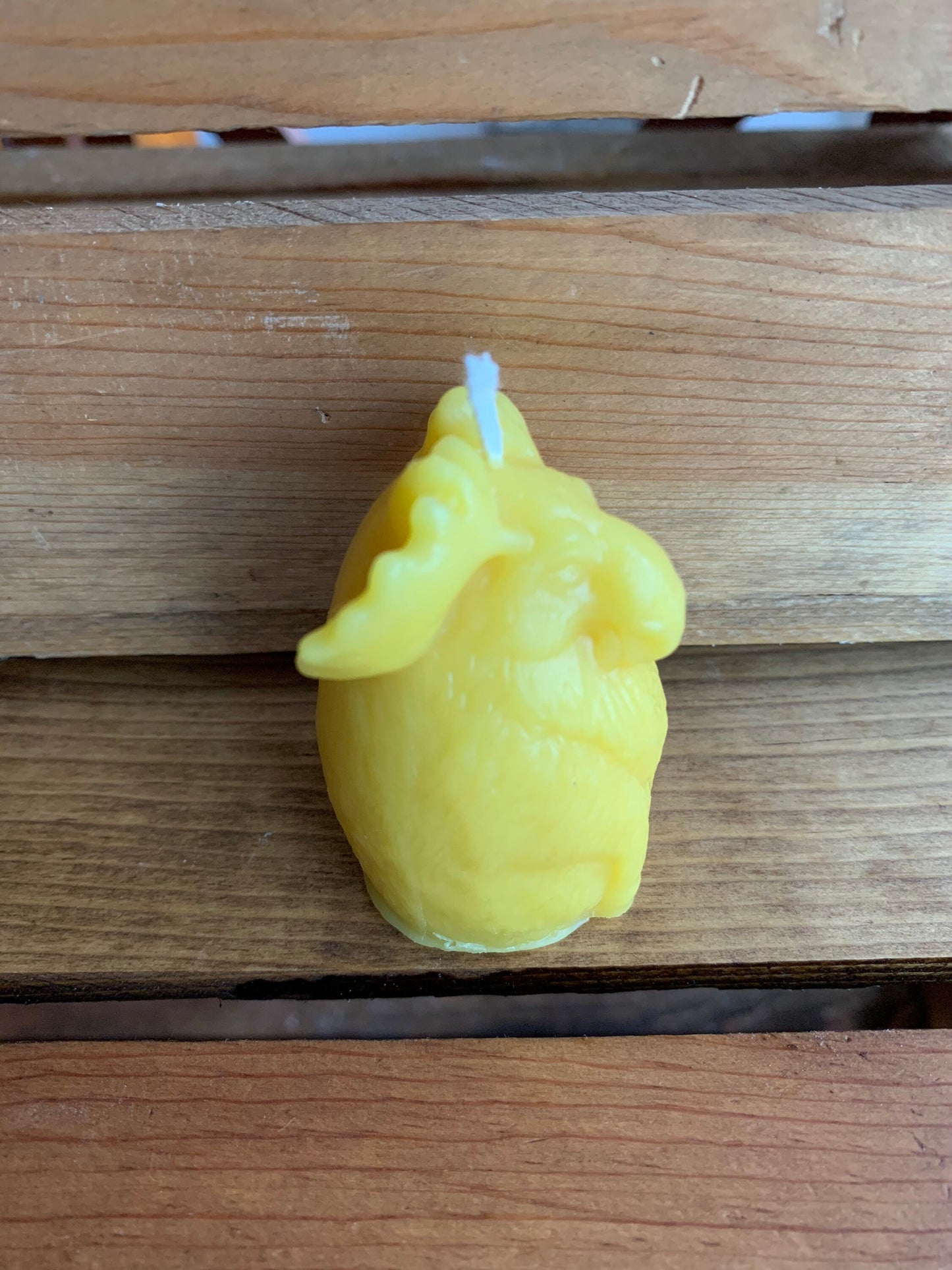 Moose Beeswax Candle