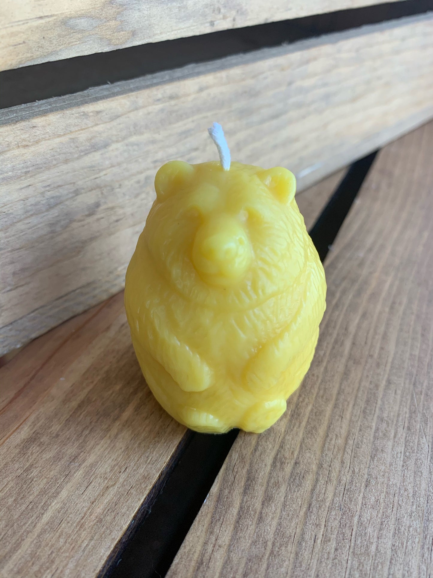 Bear Candle- Woodland Bear Candle