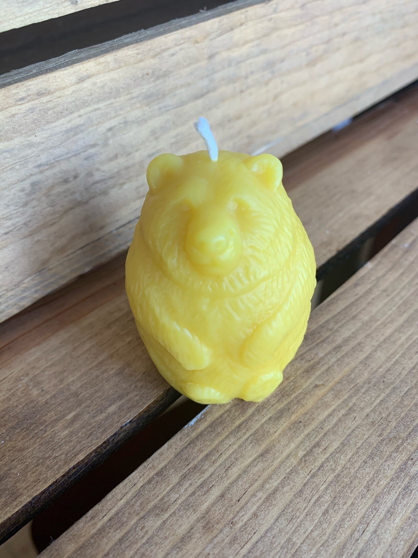 Bear Candle- Woodland Bear Candle