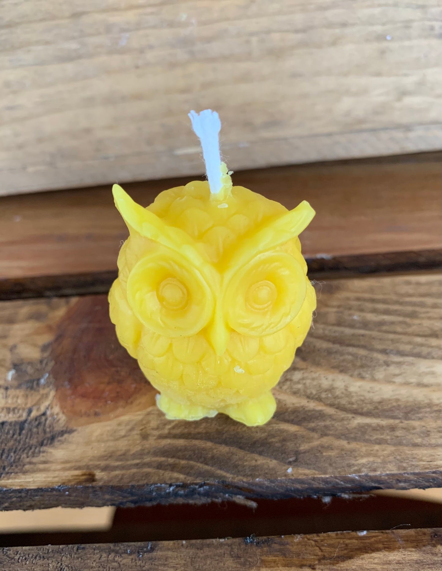 Owl Beeswax Candles- Set of 3