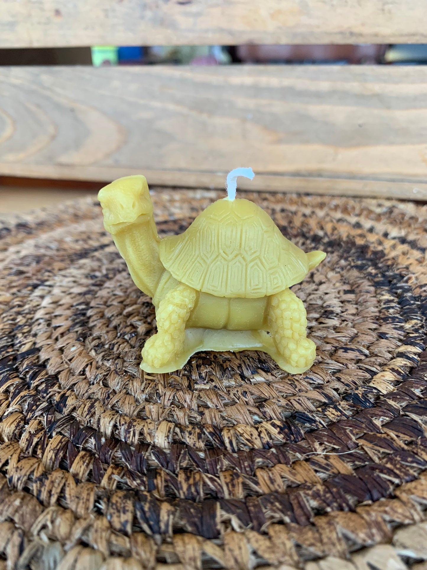 Beeswax Tortoise Candle | Turtle Candle