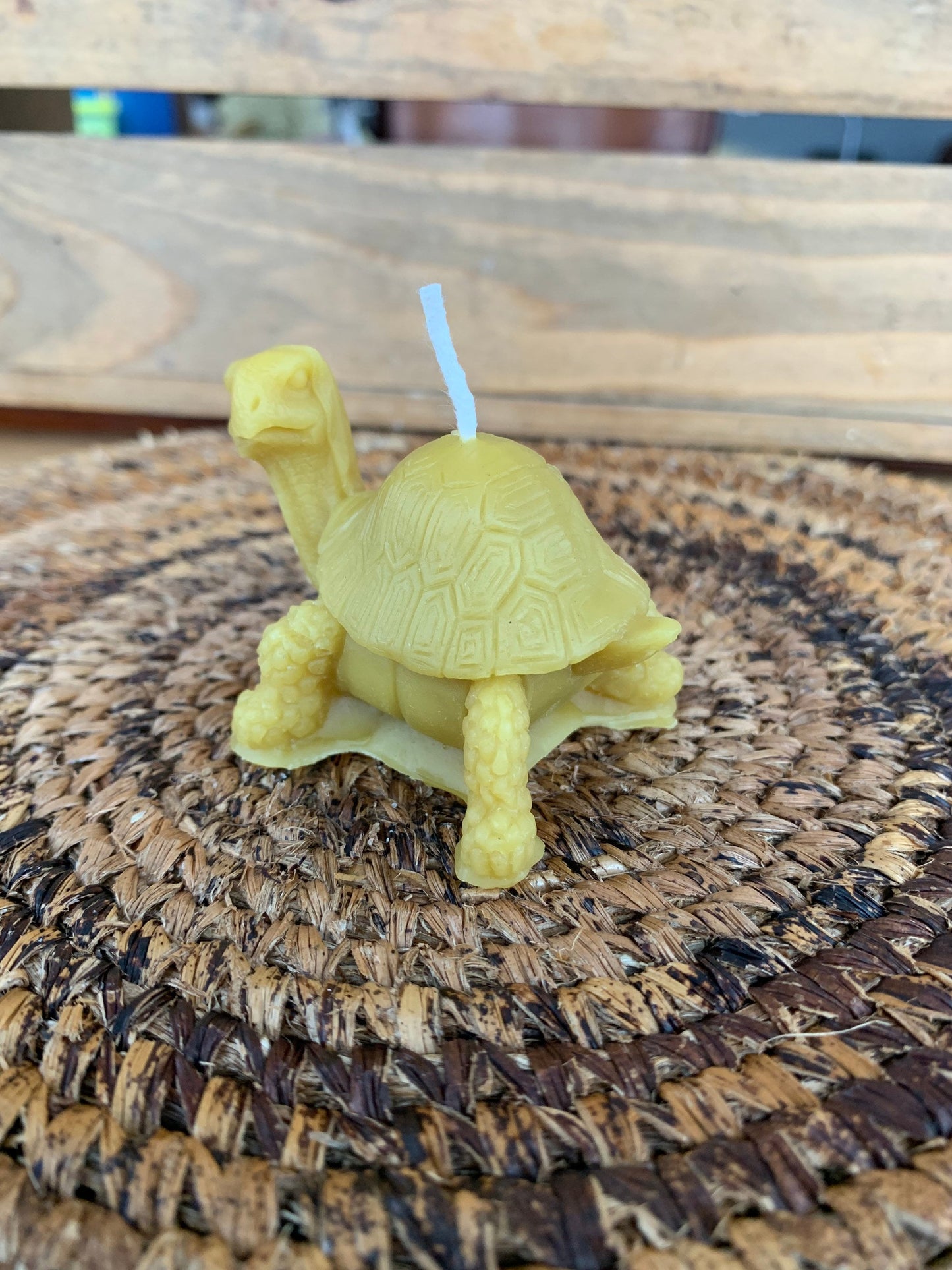 Beeswax Tortoise Candle | Turtle Candle