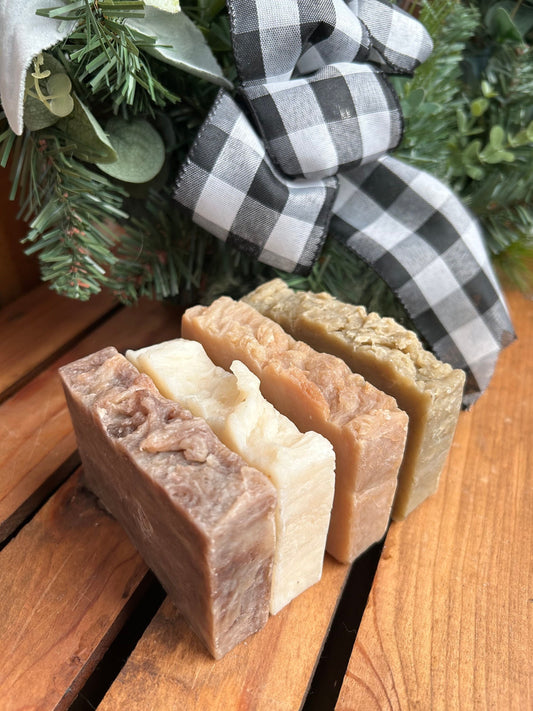 Soap Sampler Gift Package- Evergreen Pine- Double Mint- Cinnamon Vanilla, Warm Vanilla