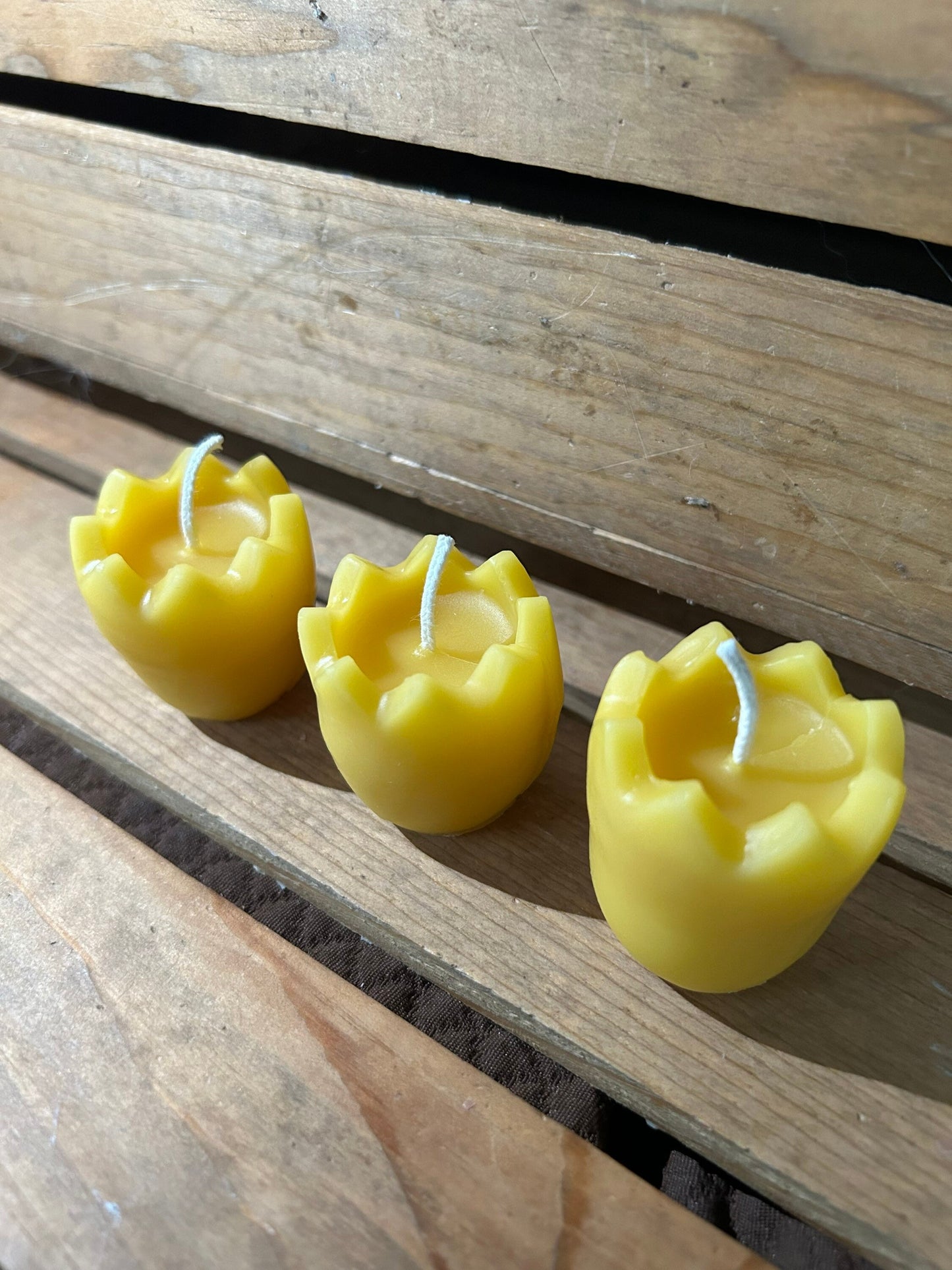 Cracked Egg Beeswax Candles | Set of 3