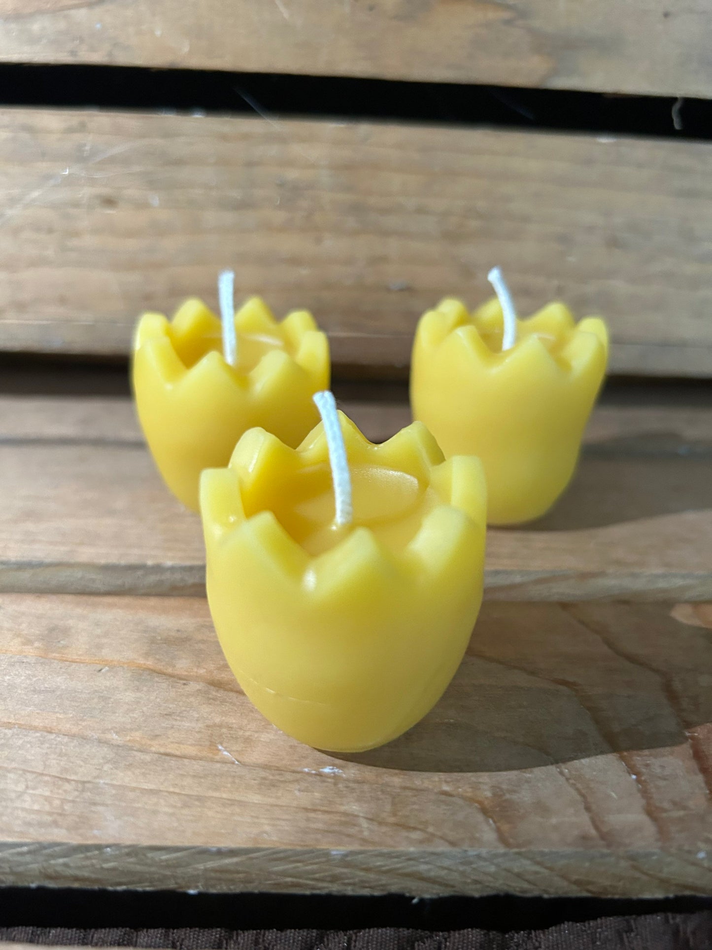 Cracked Egg Beeswax Candles | Set of 3