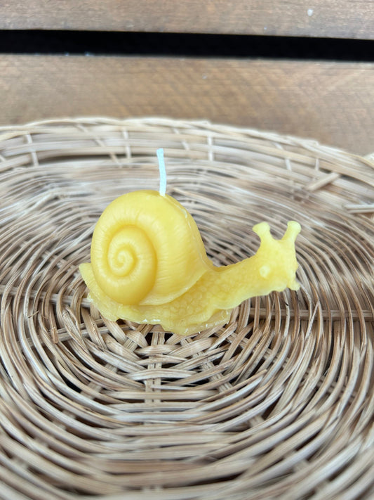 Beeswax Snail Candle