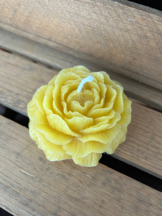 Peony Flower- Beeswax Candle