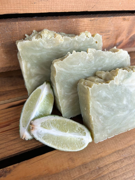 Coconut Lime Bar Soap | Made with Beeswax and Honey | Palm Free Soap